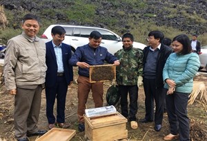 Cách làm mới từ mô hình nuôi ong mật quy mô hộ gia đình tại huyện Mèo Vạc tỉnh Hà Giang