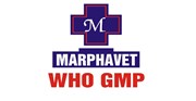 Tập đoàn Đức Hạnh MARPHAVET BMG tuyển dụng