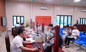 Cắt giảm đơn giản hóa điều kiện kinh doanh của 11 lĩnh vực nông nghiệp và môi trường
