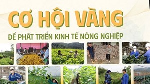 Đón đầu kỷ nguyên "Kinh tế xanh" và quản trị số cùng ngành Kinh tế nông nghiệp